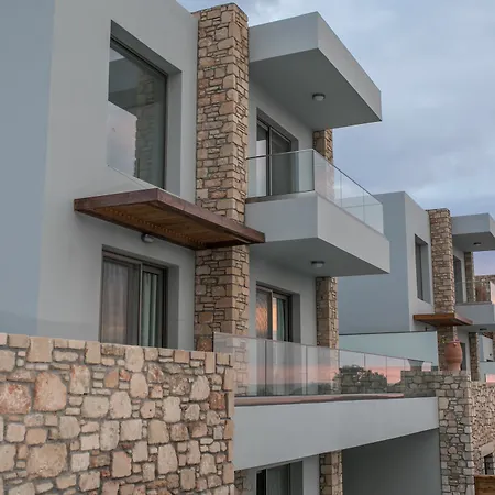 Olive Stone